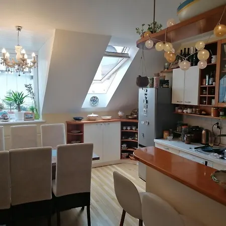 Apartament Unique In The Position