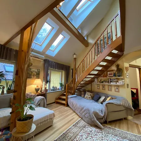 Apartment Unique In The Position